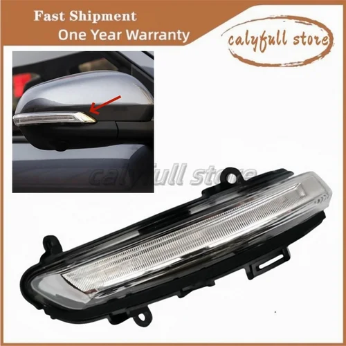 Para Changan Hunter F70 coche exterior espejo retrovisor lámpara indicadora ala puerta espejo lateral luz de señal de giro