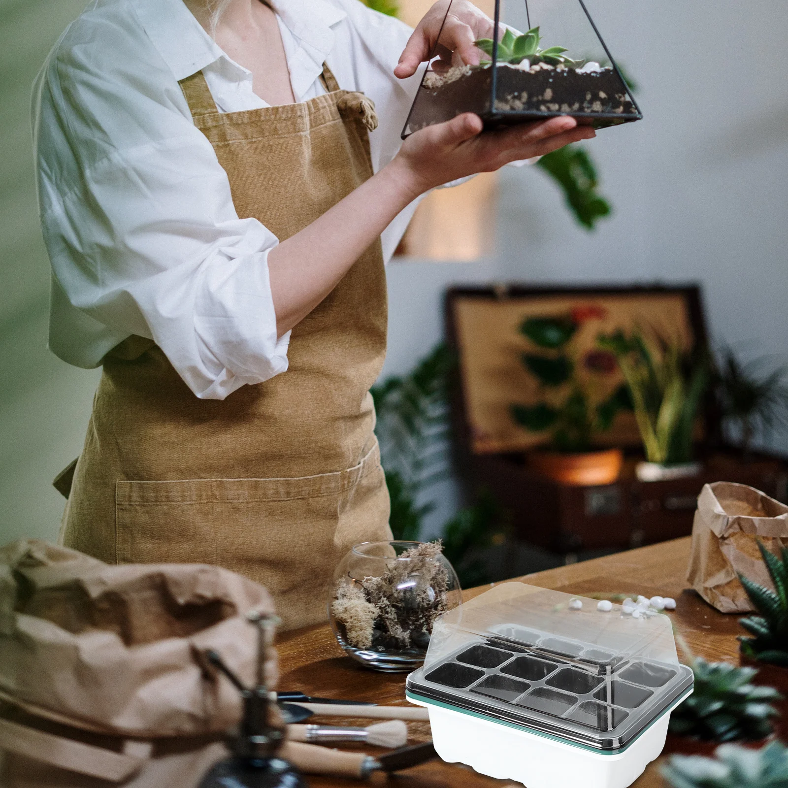 

3pcs Shatterproof Clear Lid 12 Tray For Plant Germination Hydroponic Grower Sow Cuttings Organically Coir