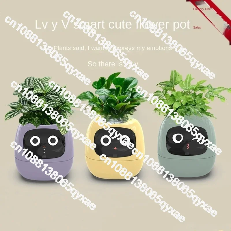 New Smart and Cute Pet Pet Pot Ivy Table Top piante verdi lascia che le tue piante espongono le emozioni