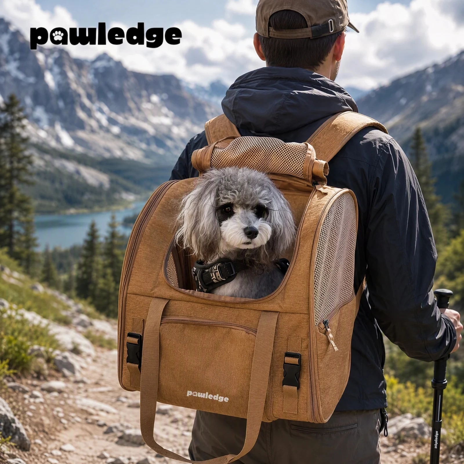 Foldable Pet Carrier Backpack, Four-Side Breathable Large Capacity Travel Bag, Shoulder Handbag for Cats and Small Dogs