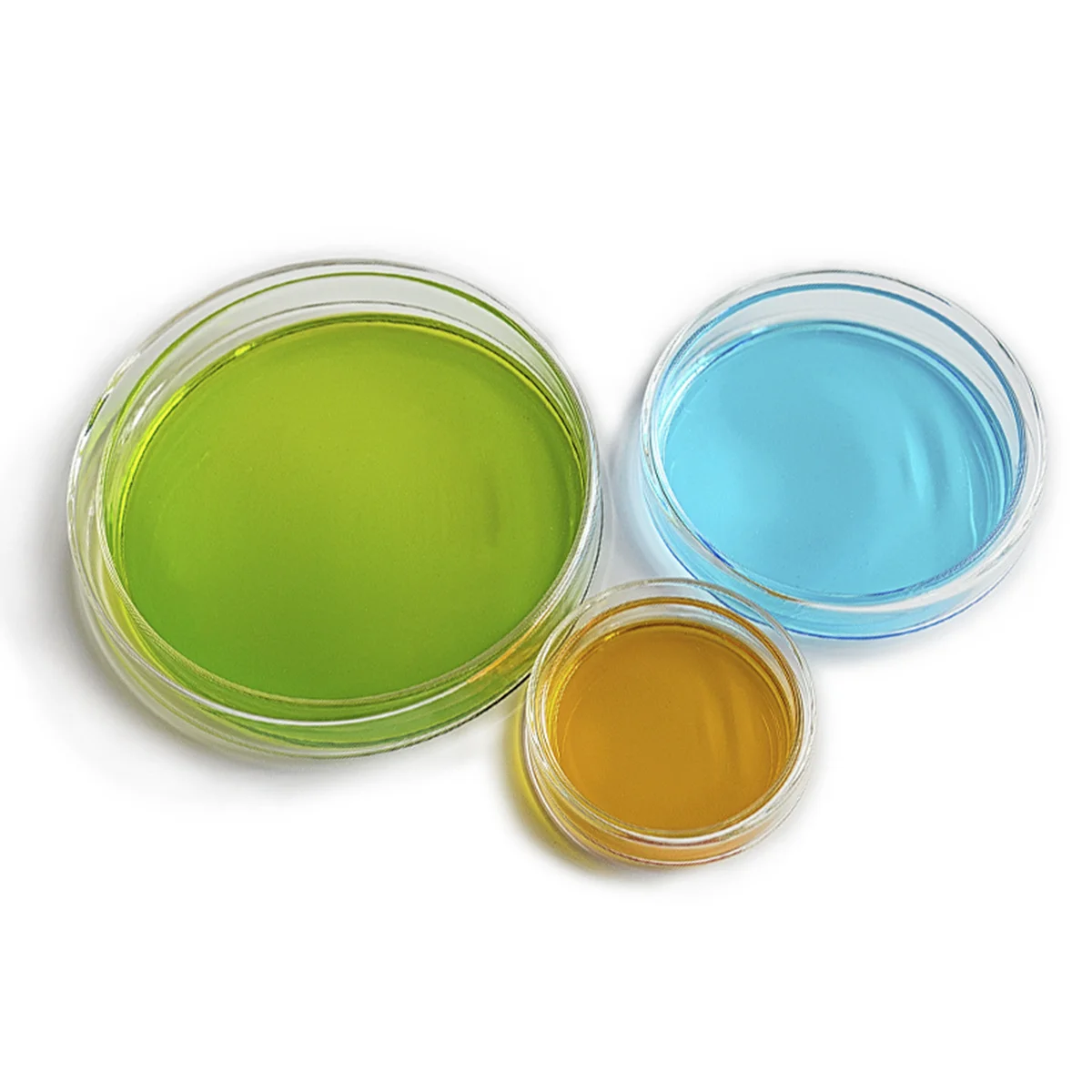

10Pcs Plastic Petri Dishes Sterile 70mm Bacterial Culture Dishes Portable Lightweight with Lid for Lab Plastic Petri Dish