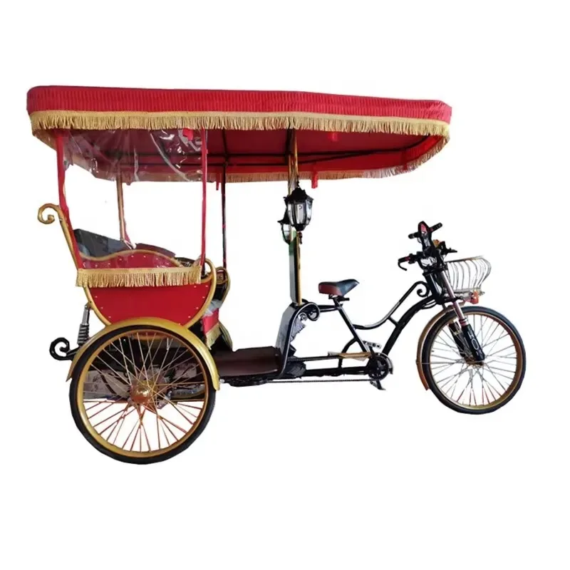Hot-selling imported four-wheel electric bicycle 2 seats 4 seats double sightseeing bicycle for sale