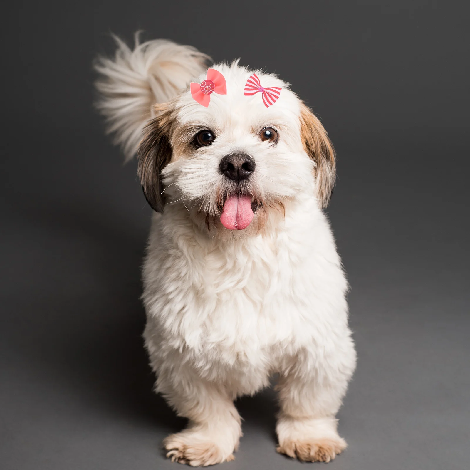 

50pcs Elastic Band Dog Bowknot Pet Hair Bows Cat Accessories Various Colors Pet Hair Bows With Rubber Band Designs Handmade