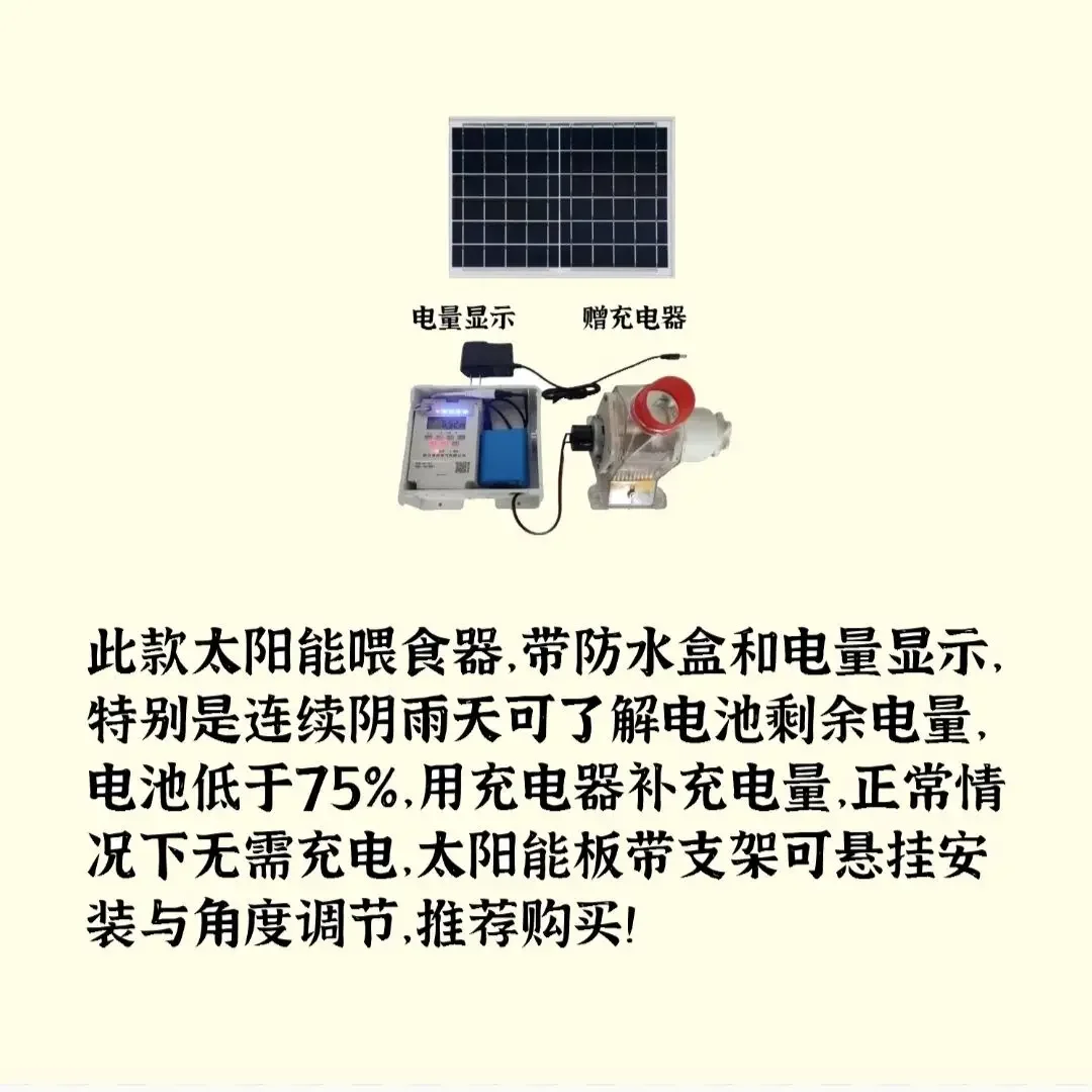 Pigeon automatic feeder with adjustable 12v solar energy timing intelligent chicken and duck feeding system