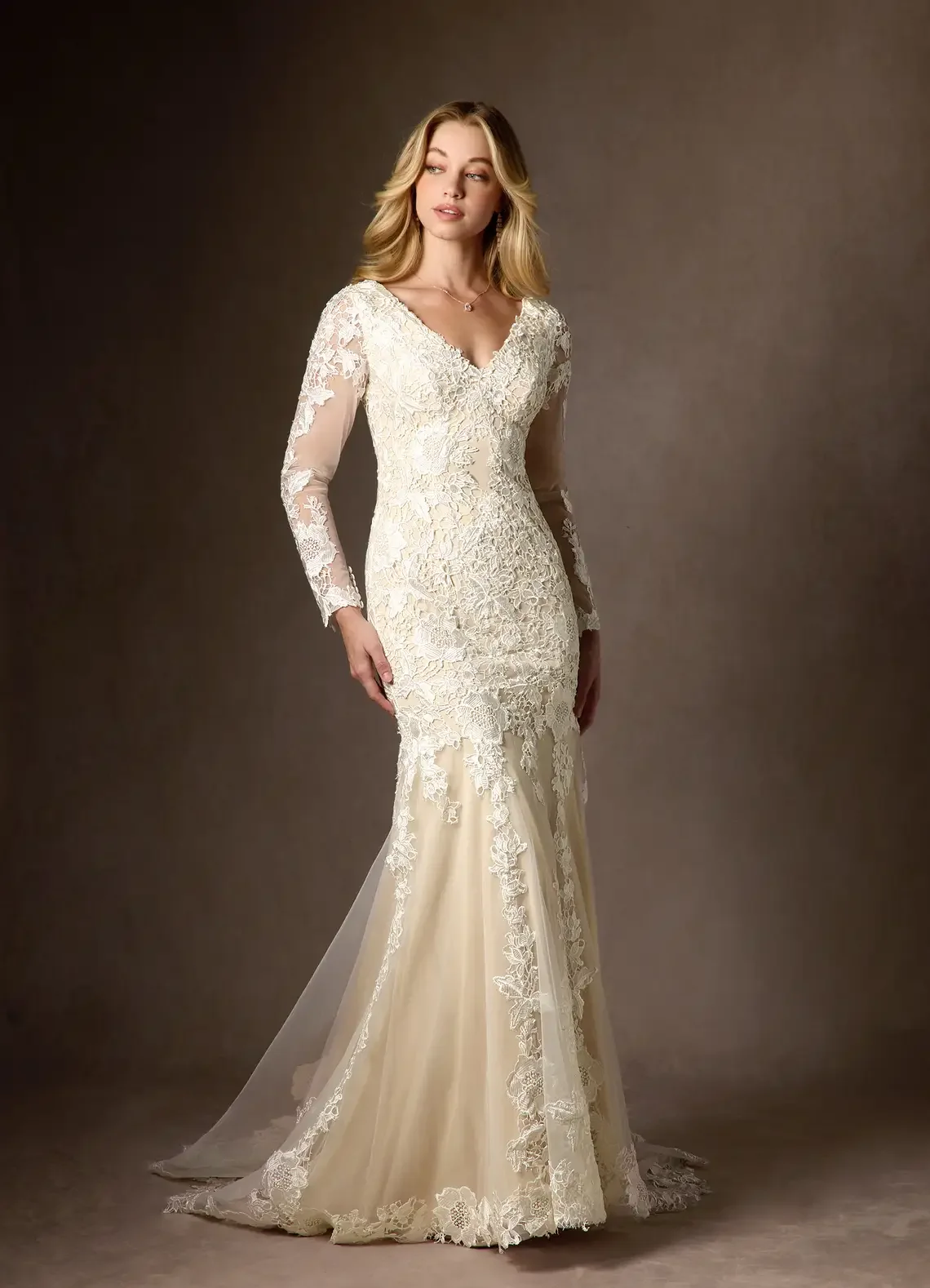 

Customized 2025 Bride's Tail Wedding Dress V-Neck Lace Applique Long Sleeves Back Hollow Design Elegant And Sexy