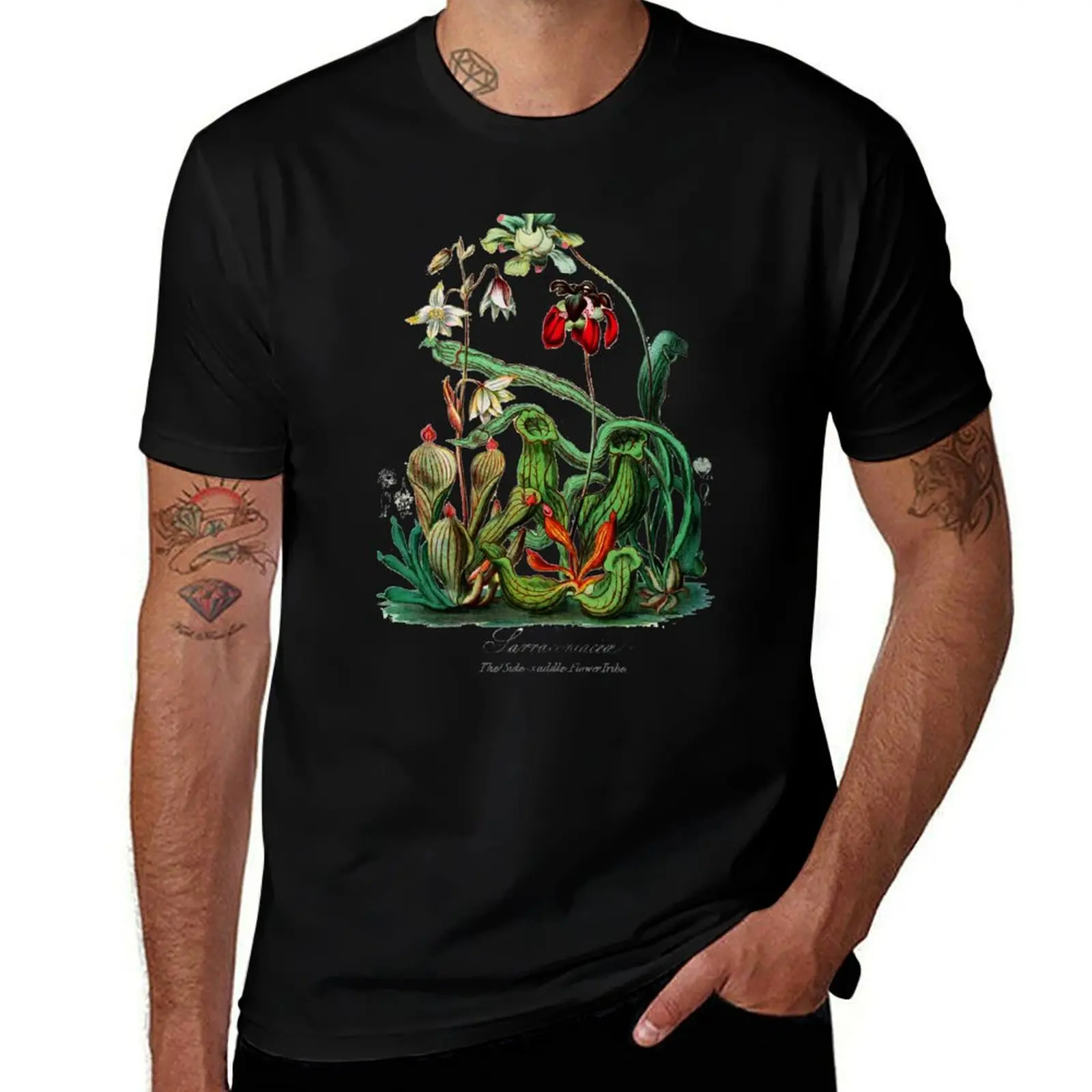 

Carnivorous Plants Vintage Sarracenia Botanical T-Shirt man t shirt luxury g man t shirts for men T-Shirt