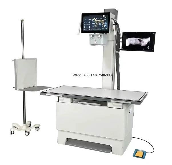 Multifunctional Veterinary Medical X-Ray Machine 32kw 20kw with Flat Plane Detector for Veterinary Hospitals and Clinics