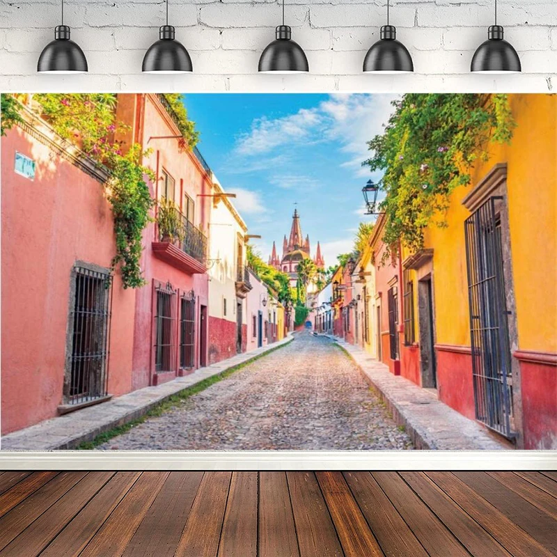 Street Scene Photography Backdrop Spring Countryside Downtown Narrow Alley Pathway Mexico Colorful Houses Background Banner