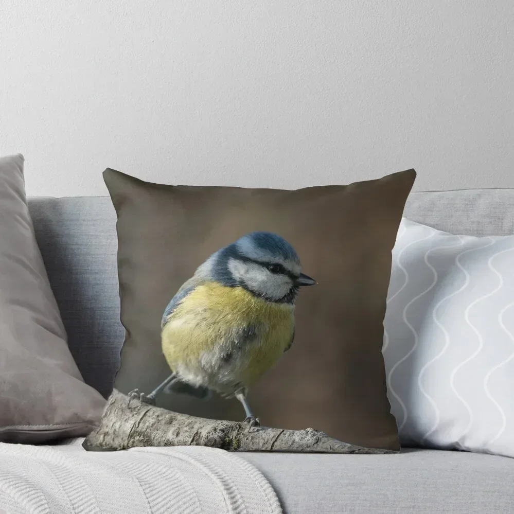 

A star is born Throw Pillow Cushions For Sofa Decorative Cushion pillow