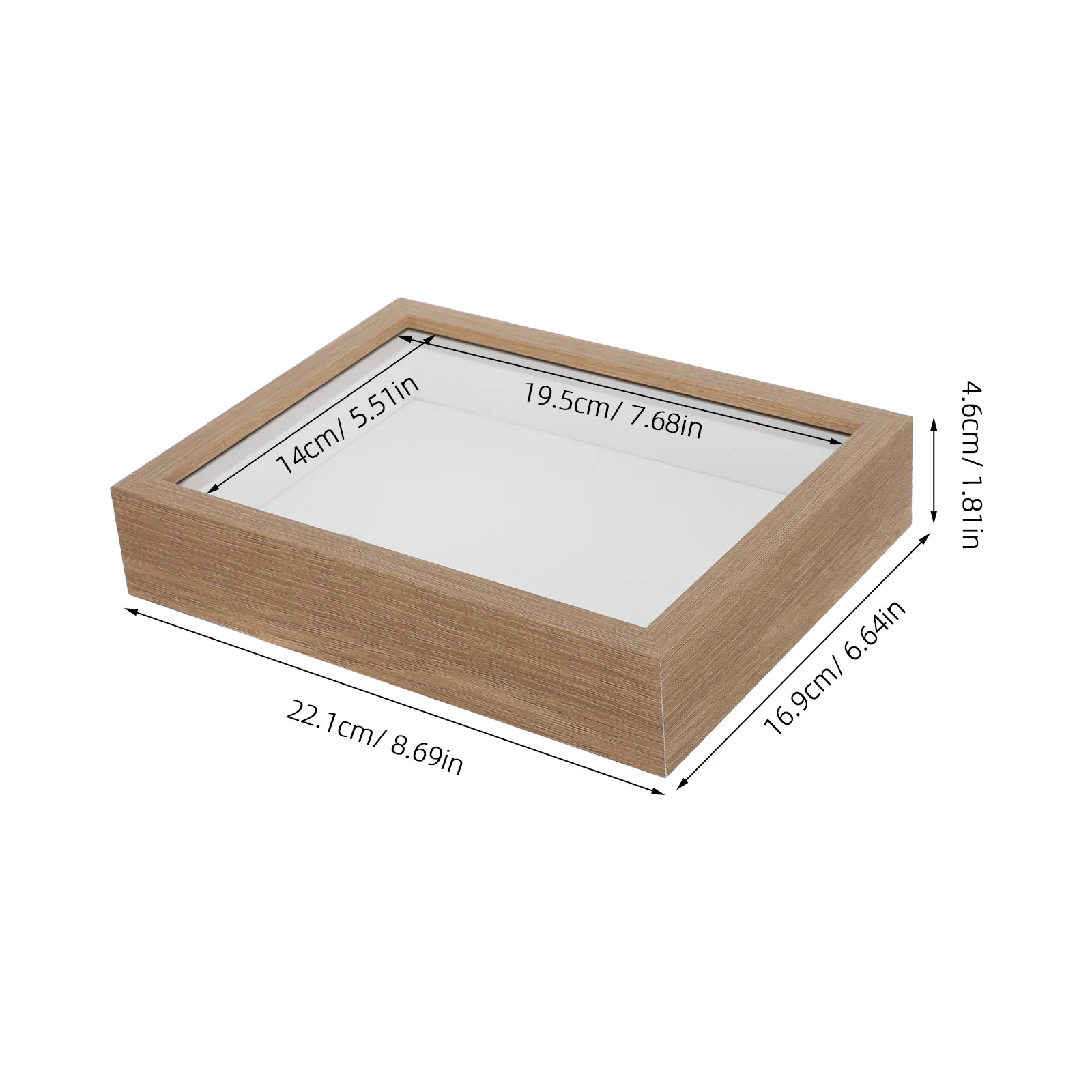 Insect Display Box Beige Specimen Storage Case Entomology Shadow Box for Butterfly Dragonfly Bug Collection Decorative Classroom