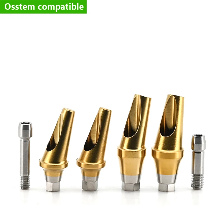Grade 5 Titanium Angled Abutment 17 Degree for Osstem Type a B Lab Prosthetic Components Screw Retained Parts Factory Direct