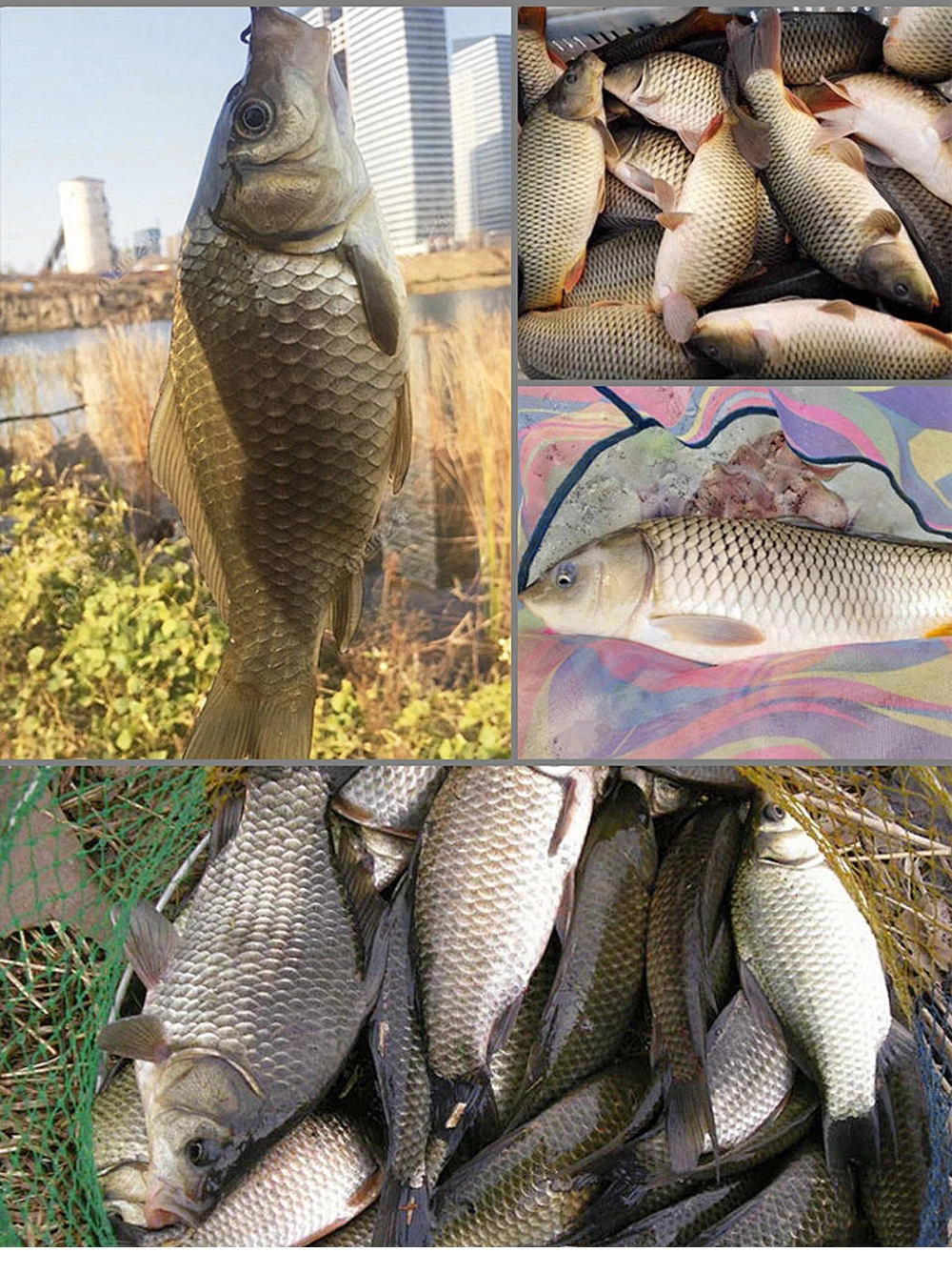 FTK Karpfenangelhaken 6 Stück 2 # 4 # 6 # 8 Vorgefertigte Hakenketten-Terminal-Rigs Angelhaken in Verschiedenen Größen Karpfenangel-Zubehör Pesca – Detail 6