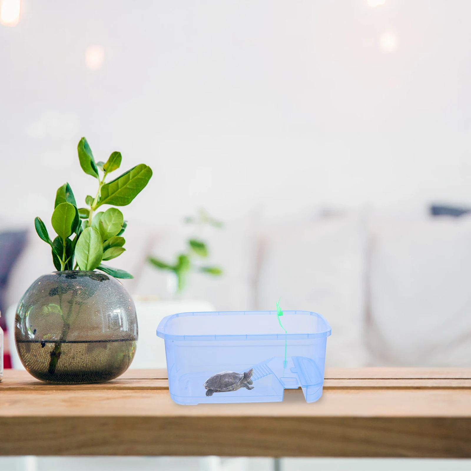 

Accessories Turtle Pot Tortoise Breeding Case Plastic Reptile Enclosure Tank for Turtles