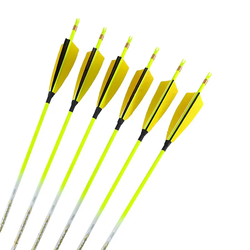 

6/12pcs PInals ID4.2mm Pure Carbon Arrows Shaft Spine 500-900 4inch Natural Turkey Feathers Recurve Bow Longbow Hunting Shooting