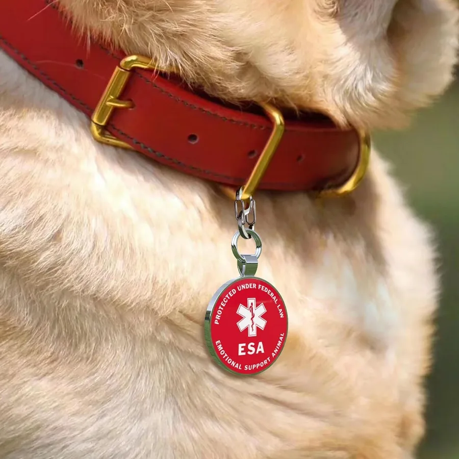 Codice QR Etichettoni identificativi per cani persolizzati Etichette personalizzate per cani e gatti Informazioni sulla archiviazione Webe per animali online gratuite