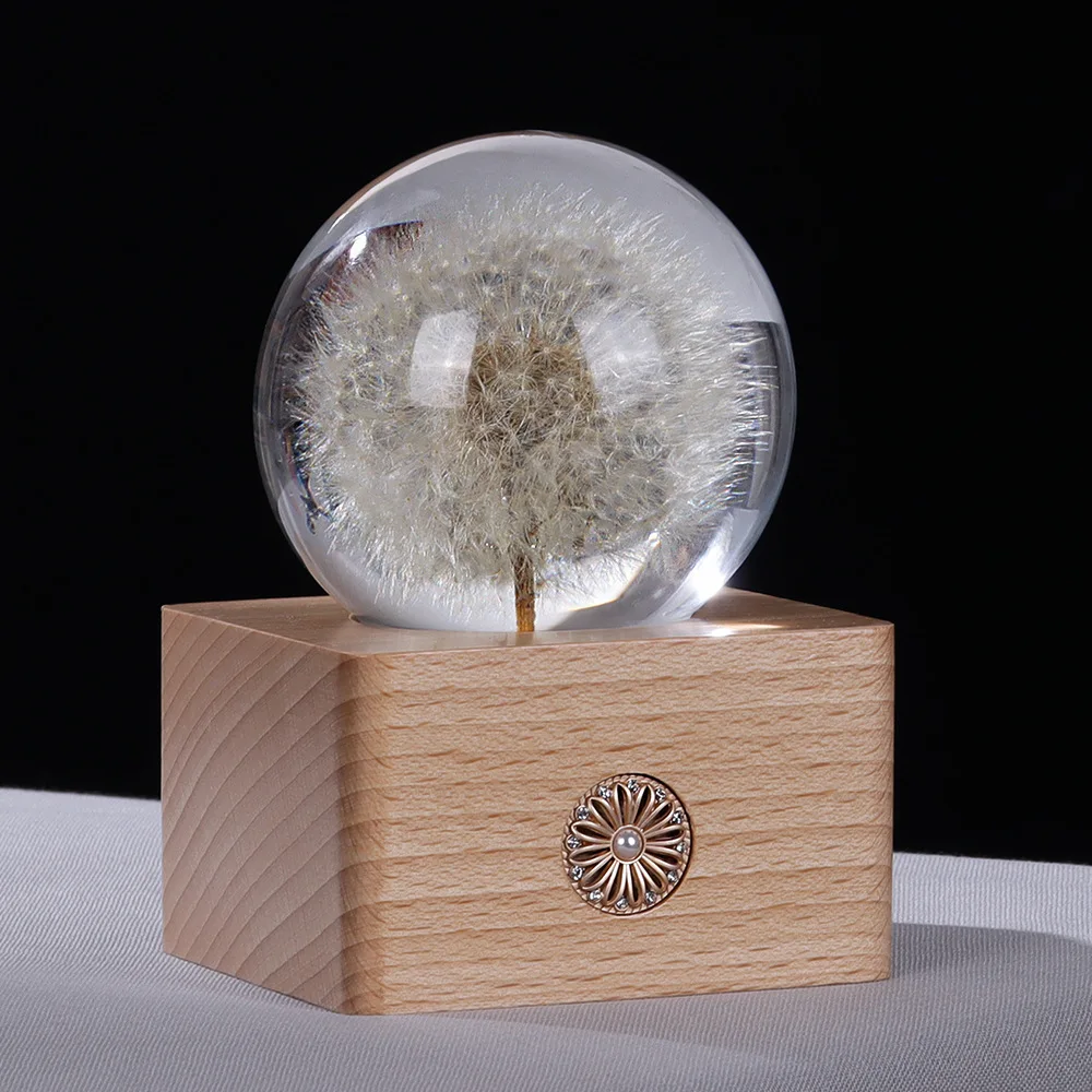 Crystal Ball Resin Crafts Dandelion Plant Specimen Features Gift Gifts Small Night Light Art Home Decoration