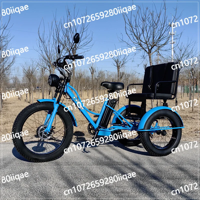 Mountain Electric Bike With Two Seat For Elderly 48V Removable Battery Electric Tricycle Adults Off Road For Man 750w 3 Wheels