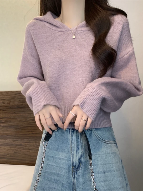Chic Knitted Short Hat Women's Sweater Autumn Winter College Style Korean Casual Anti-Aging Sweater Soft Acrylic Blend Long S...