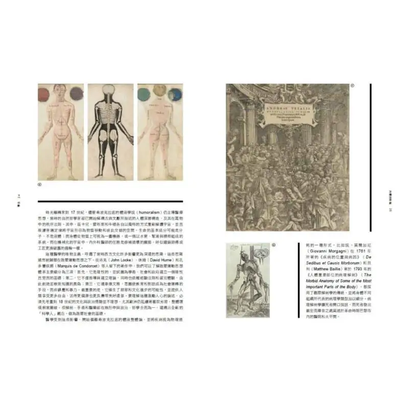 Sick Rose 354 Paintings Of Diseases That Have Influenced Modern Medicine Richard Richard Barnett 9789863442196