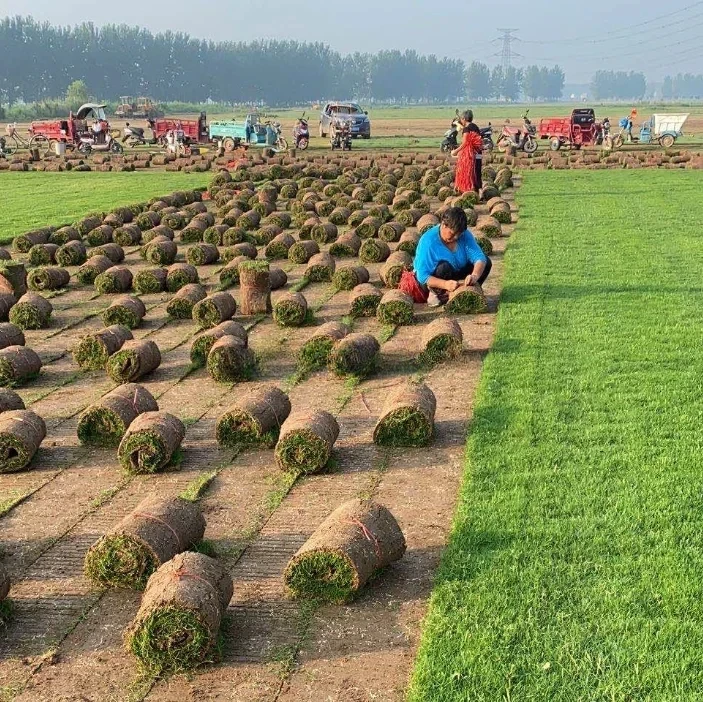 Garden Lawn Mower Artificial Turf Grass Making Machine Lawn Grass SOD Cutter Cutting Machine Grass Turf SOD Cutter Machine