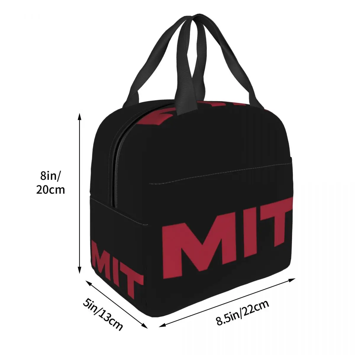 MIT - Massachusetts Institute Of Technology Lunch Bags Insulated Bento Box Portable Lunch Tote Picnic Bags Cooler Thermal Bag