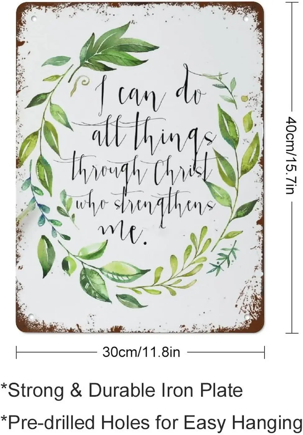 I Can Do All Things through Christ Who Strengthens Me Scripture Art Bible Verse I Best Vintage Fun Home Decor Tin Signs,