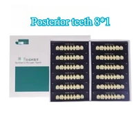 1 caja de materiales dentales de resina sintética, accesorios de laboratorio para el cuidado bucal, herramienta para blanquear los dientes delanteros, 6x1, dientes posteriores 8x1