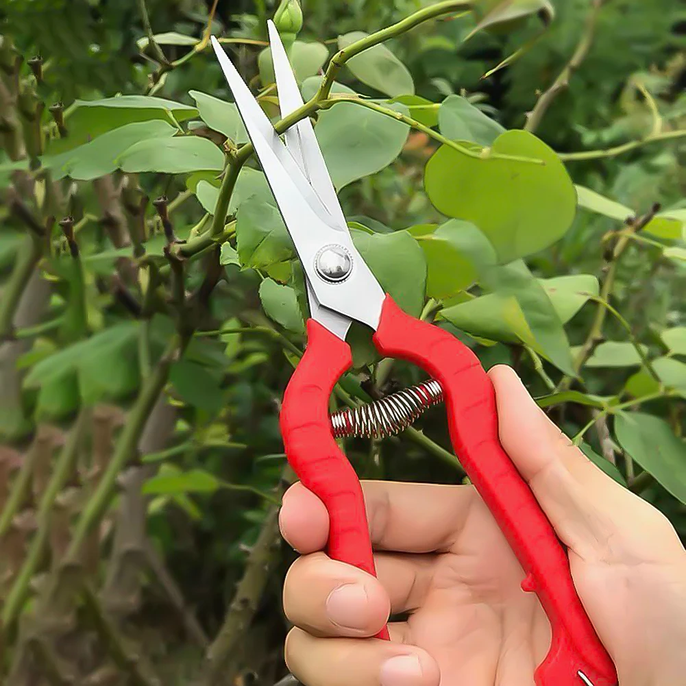 庭の手剪定ばさみ、ステンレス鋼、果物狩り、小さなはさみ、鉢植えの枝、花の収穫