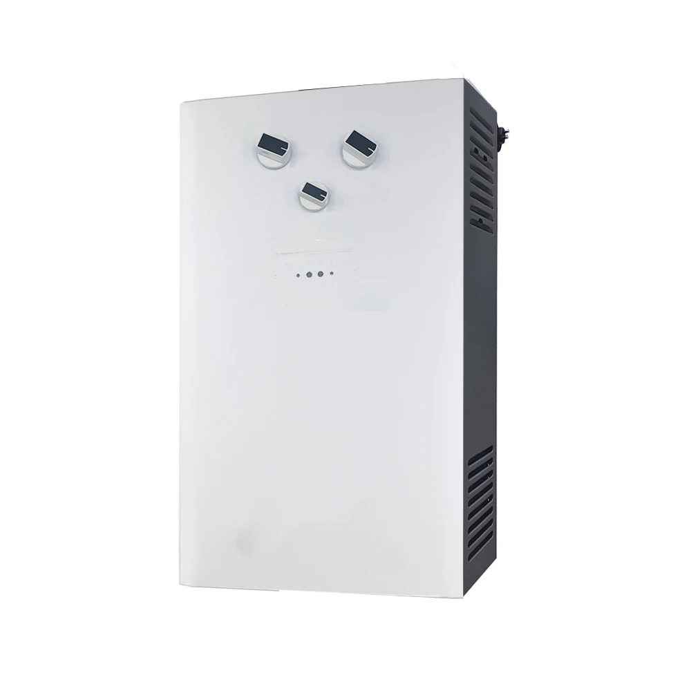 High Quality Hot Sale Gas Water Heaters 6L 10L