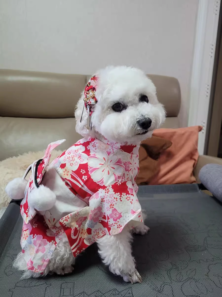 

Japanese Style Thin Cat and Dog Coat, Pet Clothes for Cats and Dogs, Cute Print with Bow-knot Kitten Sphynx Clothing Outfit