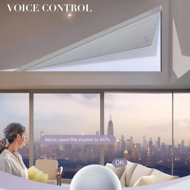 Sunroad Electric, Alexa-compatible triangular cellular blackout blinds.