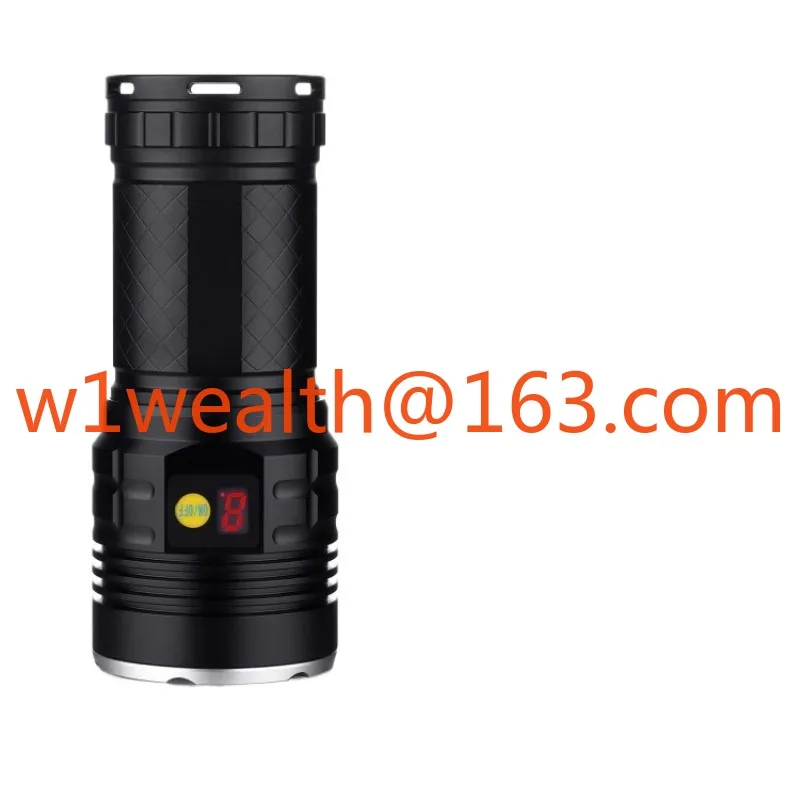

240W high-power purple light 365nm flashlight UV curing light tobacco and alcohol industry flaw detection oil