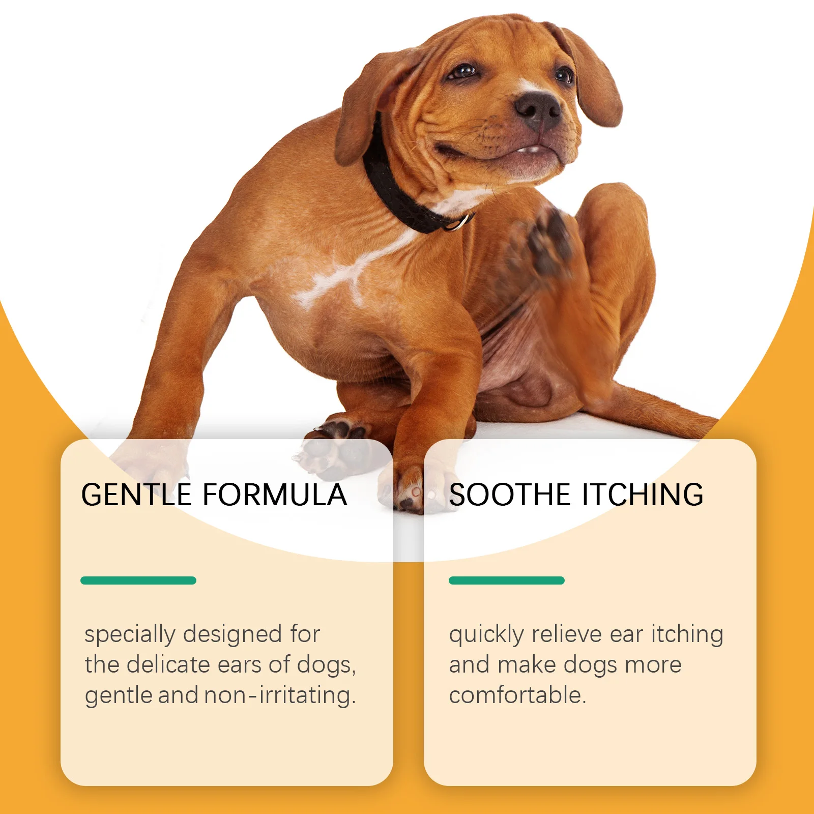 ᶜᵃʳᵉ & ᶜˡᵉᵃⁿⁱⁿᵍ ᵀᵒᵒˡˢ⸴Visible results in one drop, rapid penetration, gentle absorption protects the ears of puppies and kittens