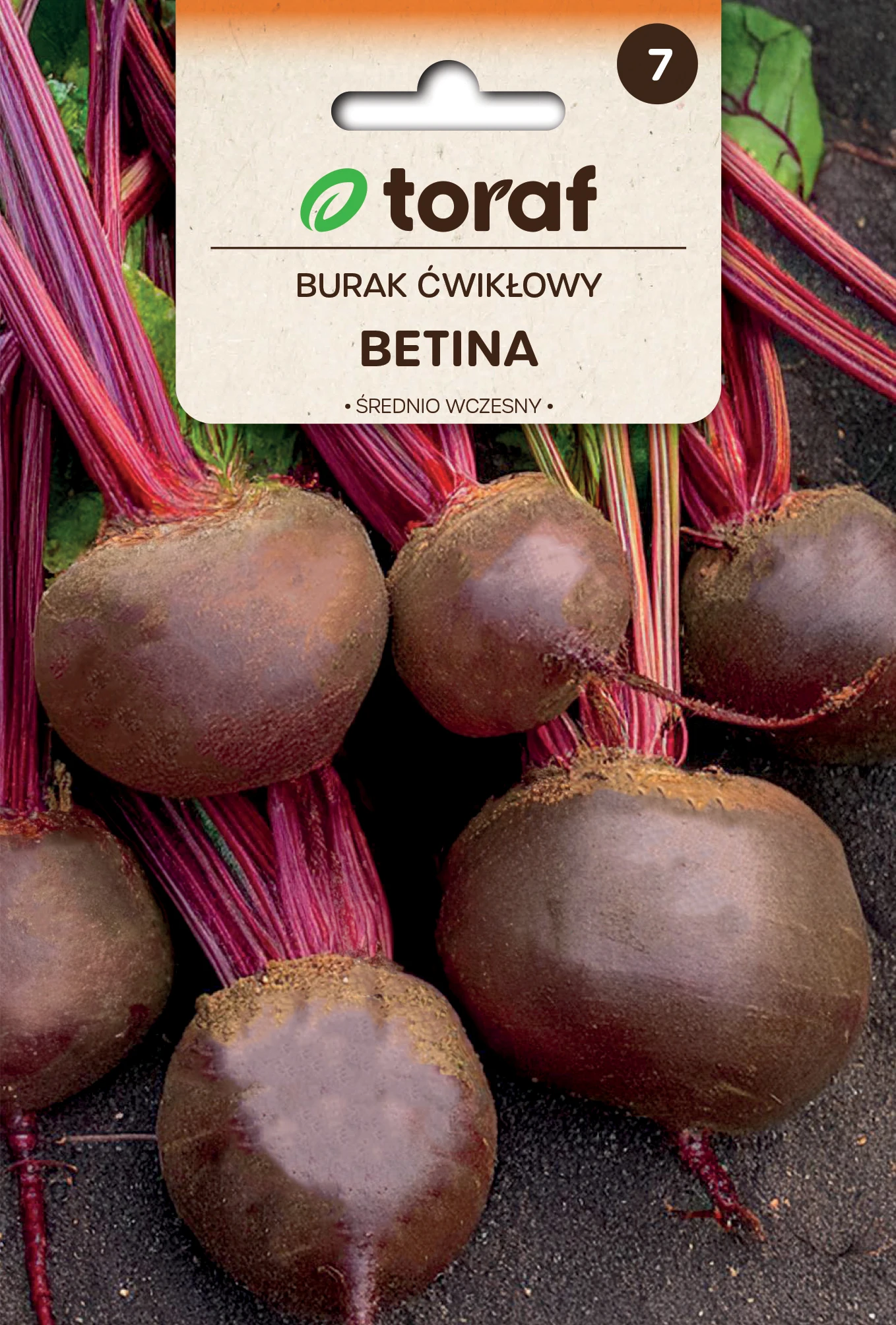 Graines de betterave Betina 10 g variété précoce, rendement élevé, pour stockage et conserves, semis pour le sol