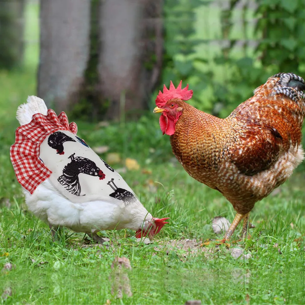 ABVC 4Pcs Standard Chicken Saddle,Chicken Jacket Straps,Hen Apron Feather Fixer With Elastic Strap,Wing Back Protector Suit
