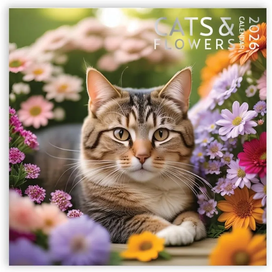 

Cats and Flowers Large Wall Calendar 12 x 12 Ihes 2026 Wall Calendar Christmas Gt Cats and Flowers