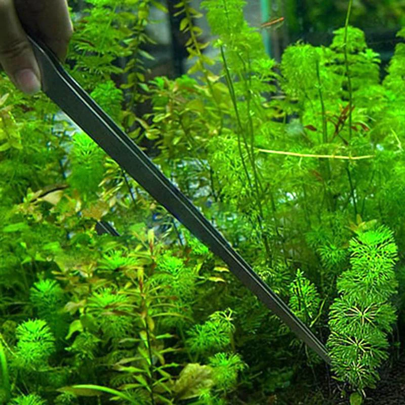 27CM Fish Tank Coral Feeder Water Grass Clip Stainless Steel Long Tongs Tweezers Aquarium Live Tank Feeding Tong For Cleaning