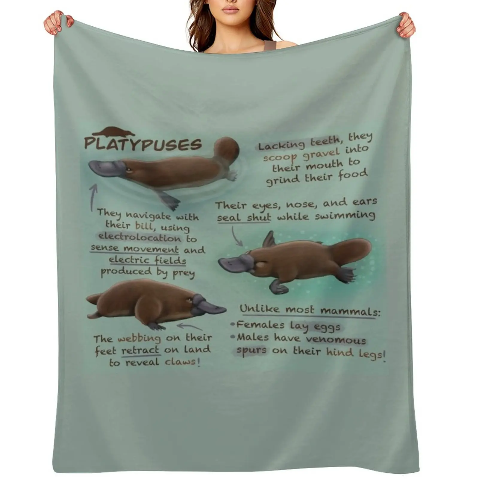 

Platypuses Fun Facts Throw Blanket Bed Plaid For Sofa Thin Fashion Sofas Blankets