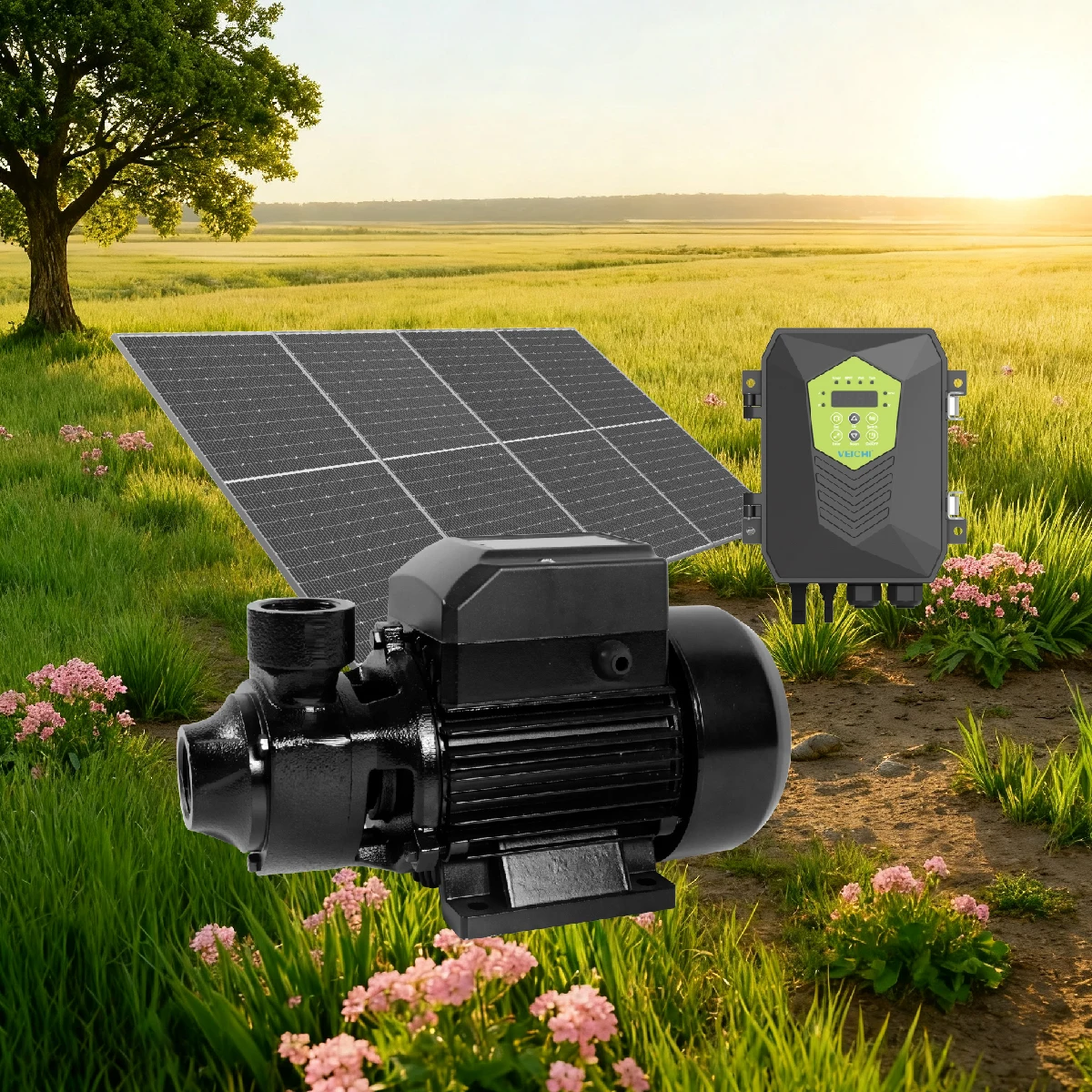 

Hot Sale VEICHI High-Head Solar Water Pump for Irrigation & Agriculture 24V DC High Pressure Surface Water Pump