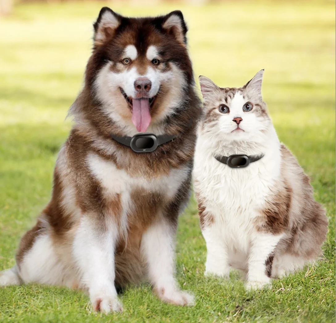 

Gps tracker Type Pet Gps tracker Imei Number Tracking Online Gps tracker Voice Call Pet with Light Sensor