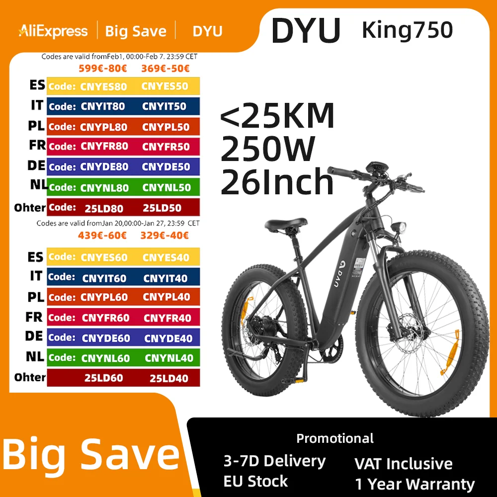 DYU King 750 Electric Bike 26 Inch Fat Tire Mountain EBike 48V 750W Brushless Motor 20Ah Battery for 80km Range 45km/h Max Speed