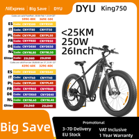 DYU King 750 Electric Bike 26 Inch Fat Tire Mountain EBike 48V 750W Brushless Motor 20Ah Battery for 80km Range 45km/h Max Speed