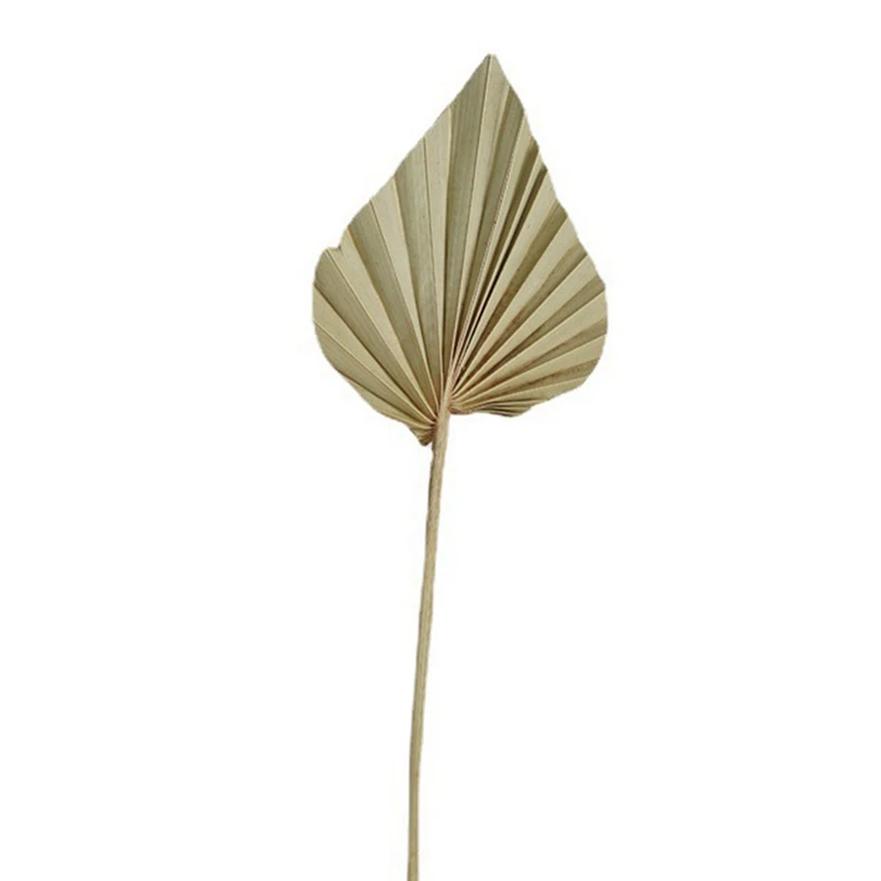 40Pcs Boho Dried Palm Spears Leaves , Small Dried Real Palm Fans, Dried Palm Leaves With Stem Dried Leaf Decor Vase