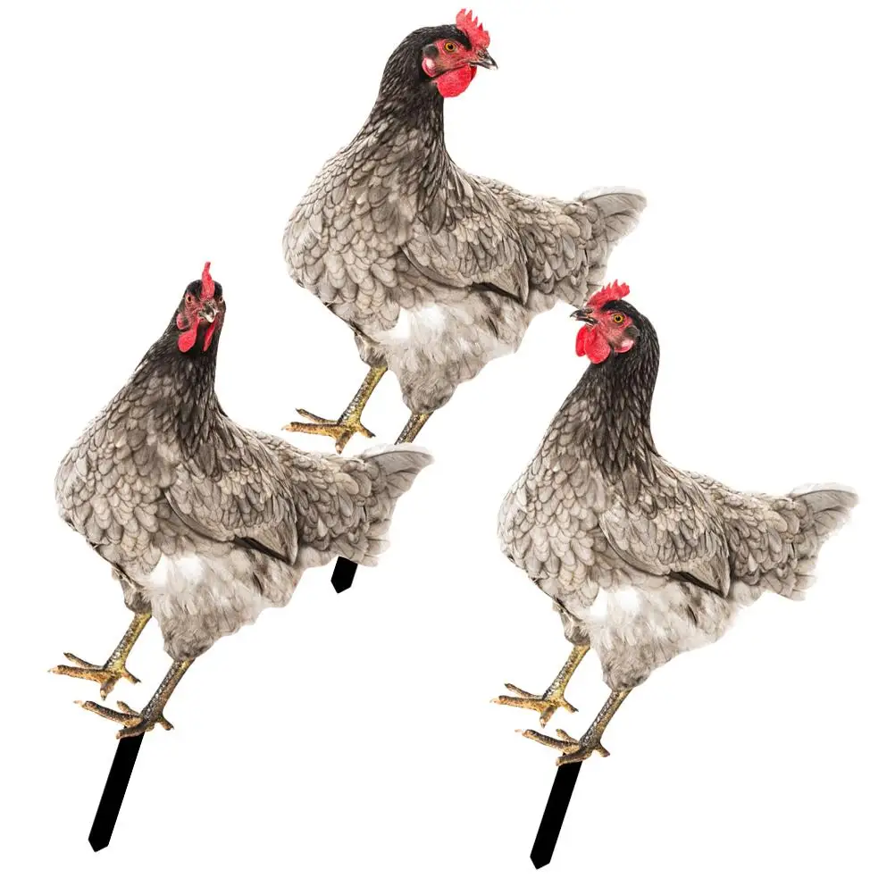 

3 Pcs Acrylic Hen Stake Garden Decor Outdoor Ornaments Vivid Farm Insert Yard Stake Realistic Animal Stakes