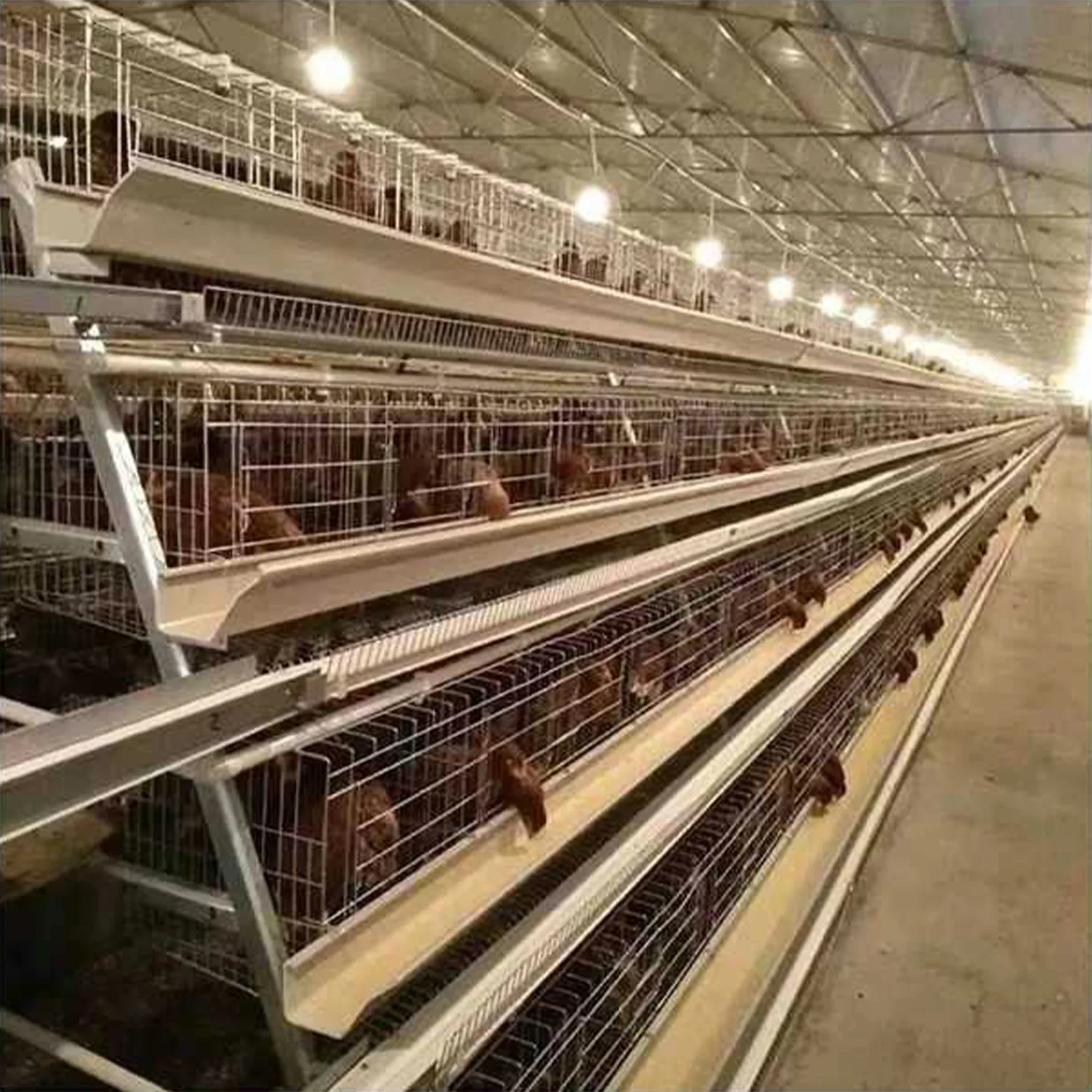 Farm-specific Chicken Coop, Full Set of Chicken Cages, Multi-layer Stepped Layer Cages