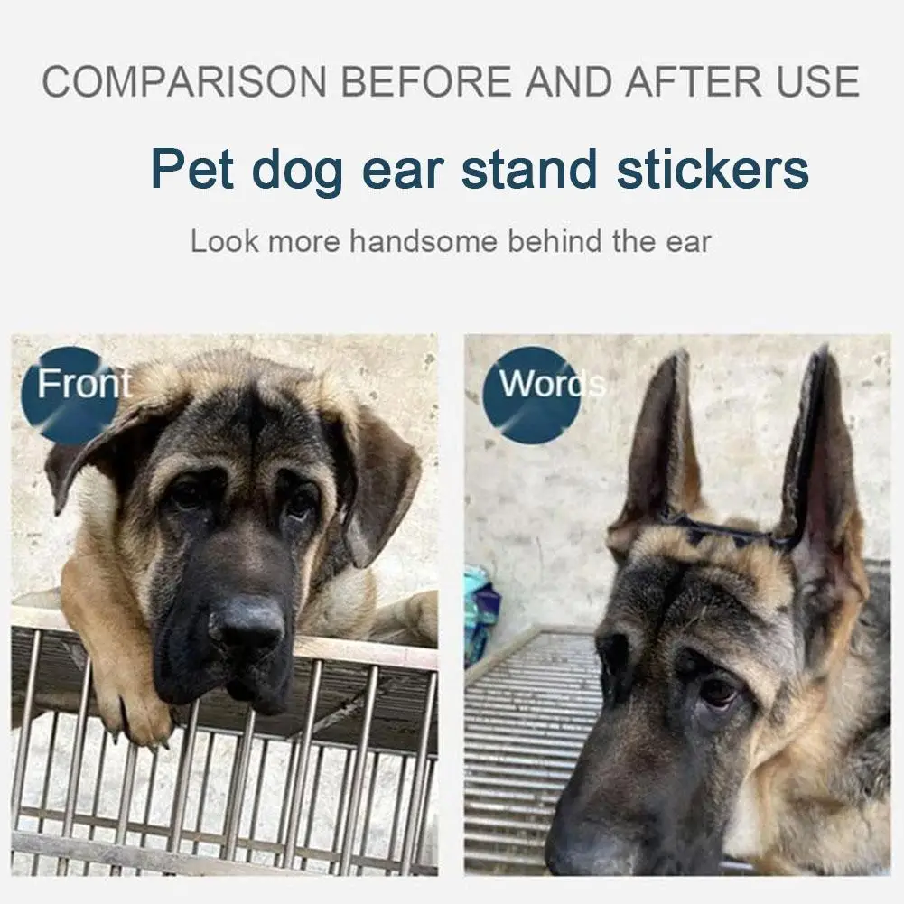 2pcs/set Pet Dog Ear Stand Up Stickers Ear Correction Dog Supplies Ear Care Tools Convenient Effective