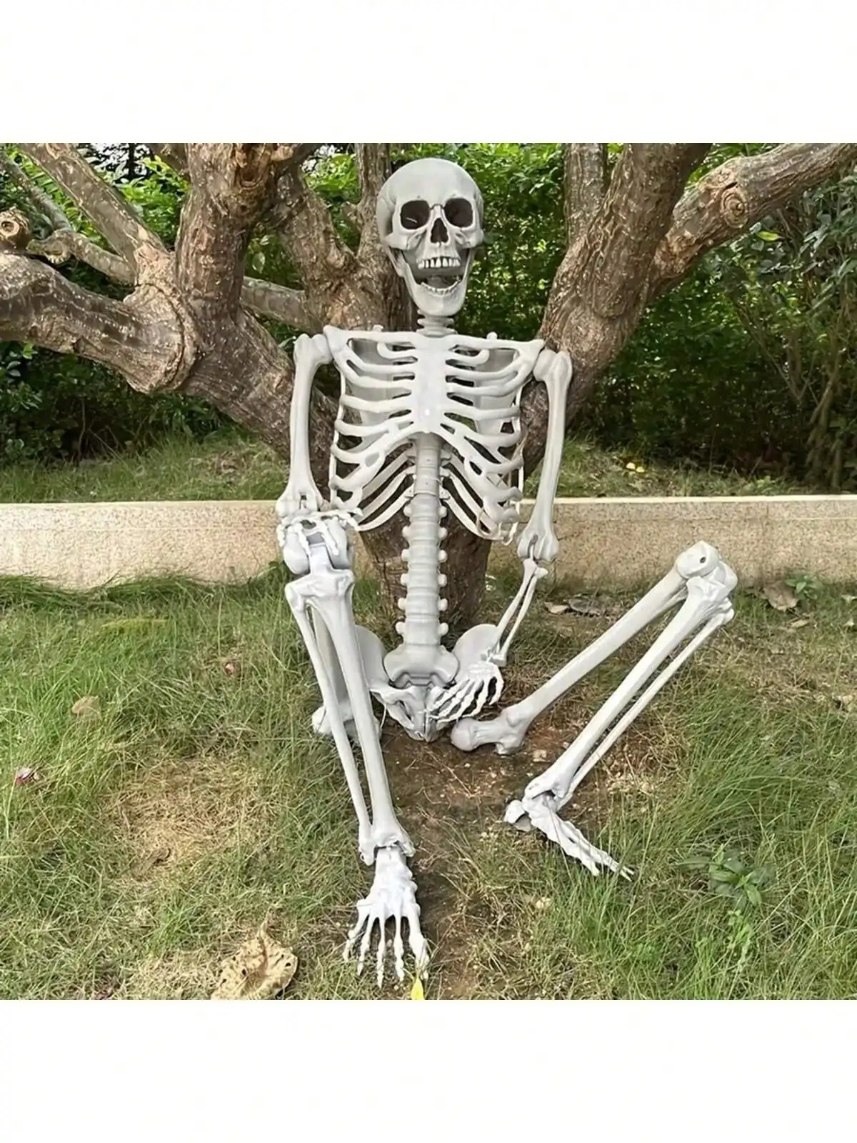 Decoraciones de esqueletos de Halloween de 40/90 cm, articulaciones posables de cuerpo completo Esqueletos de 15 pulgadas, huesos humanos realistas con salón de articulaciones móviles