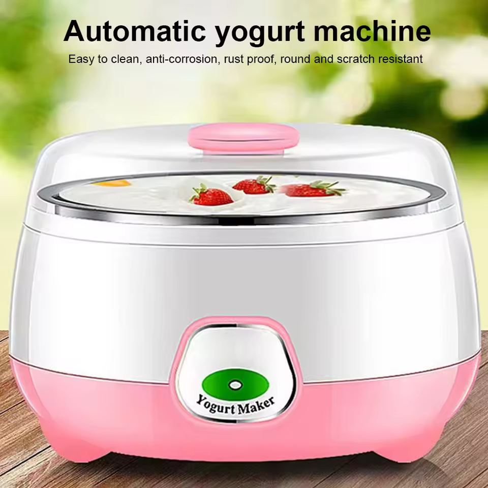 발효 과정