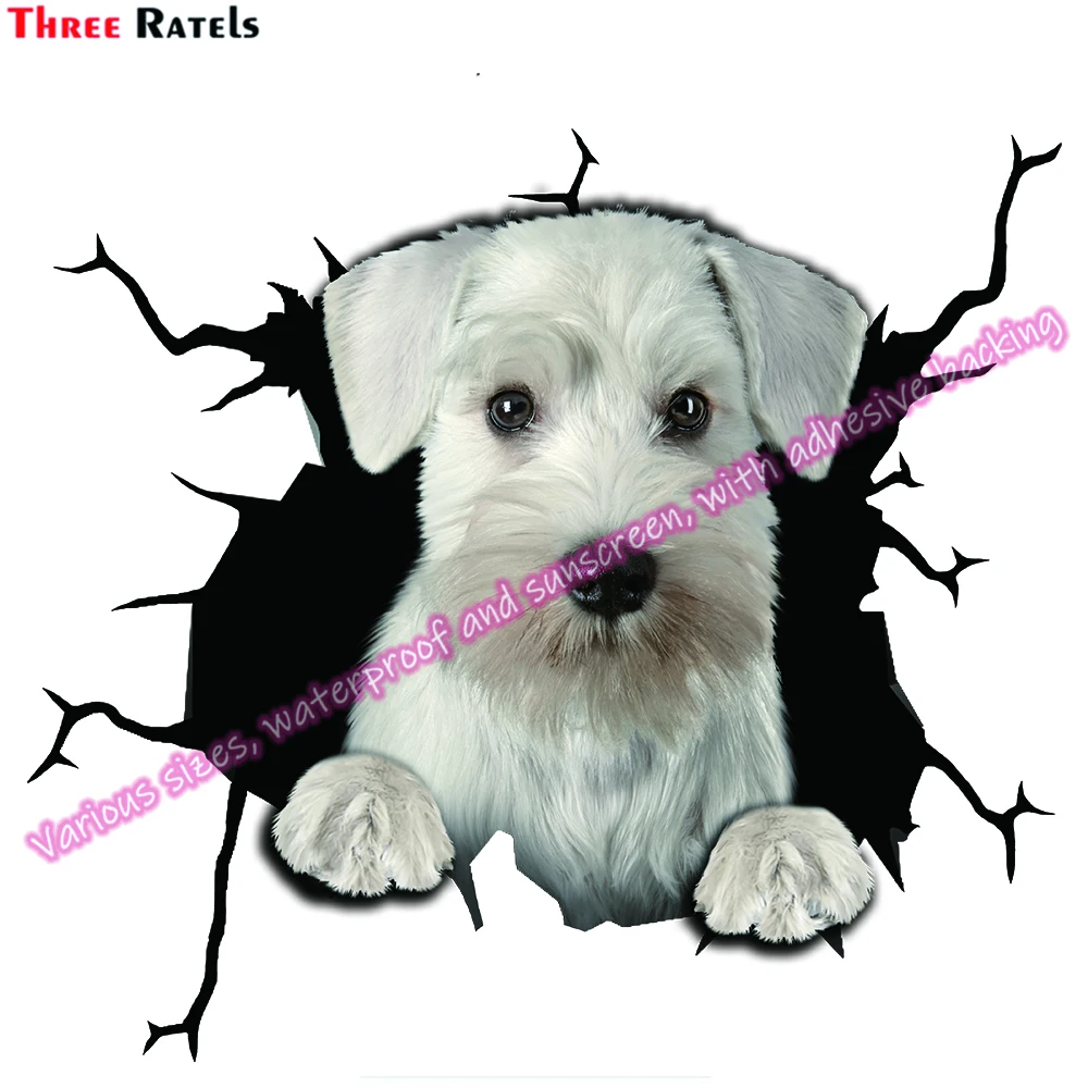 Three Ratels DA American Akita Puppy Stickers And Decals For Passat B6 Auto Decals Vinyl Material Waterproof Property