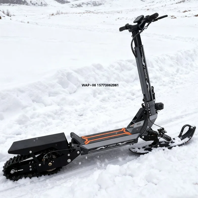 

HL-gs-11 2-in-1 Stand-Up Snowmobile & Electric Scooter - 800W All-Terrain Vehicle Atvs Ecoskat